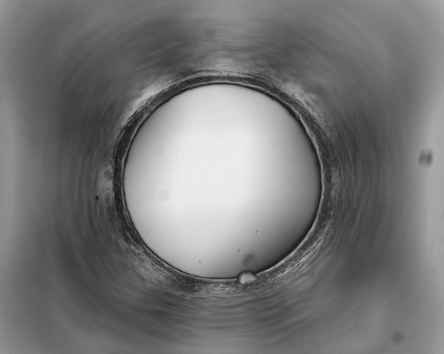 X0000098211307200805081125