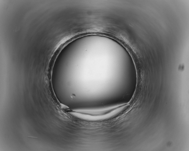 X0000098211308200805081125