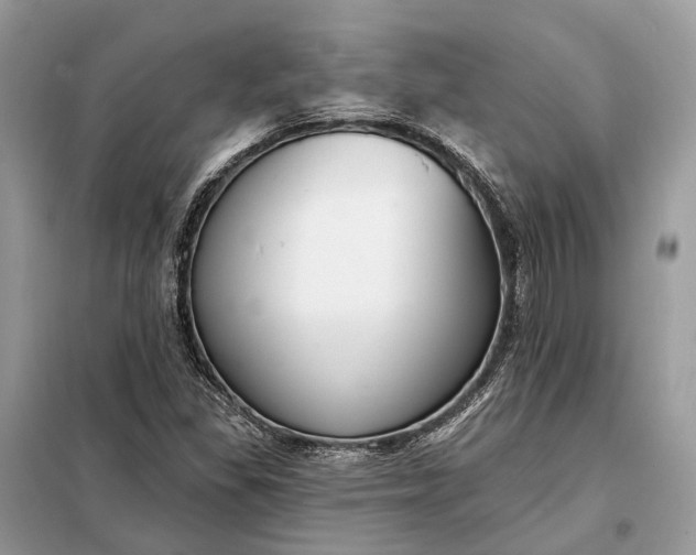 X0000098211309200805081125