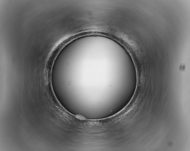 X0000098211310200805081125
