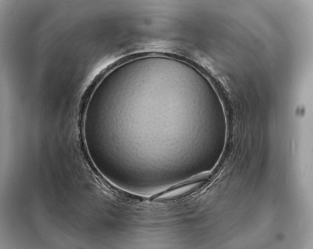 X0000098211312200805081125