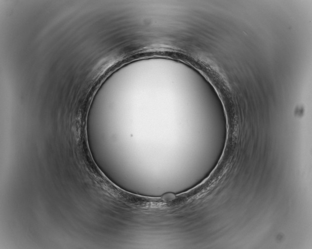 X0000098211313200805081125