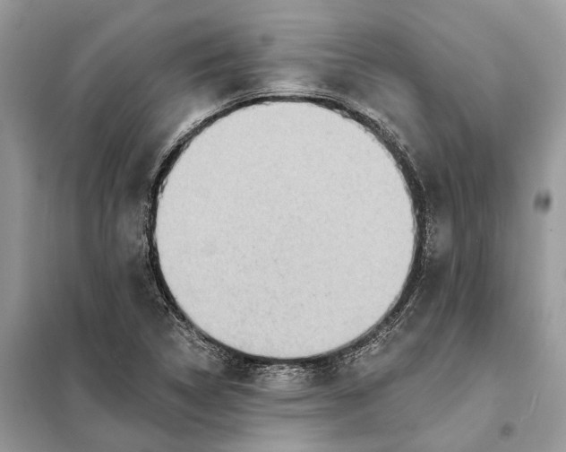 X0000098211314200805081125
