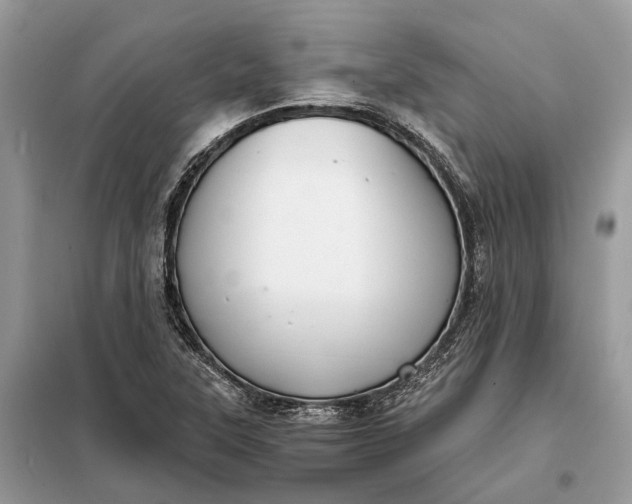 X0000098211315200805081125