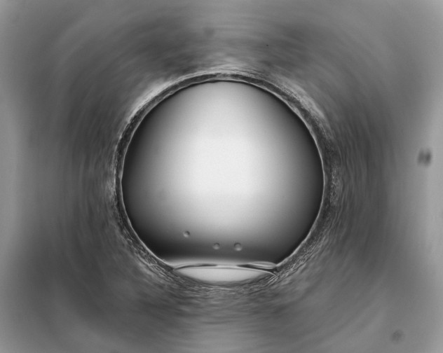 X0000098211316200805081125