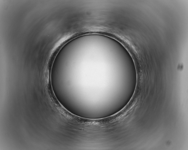 X0000098211317200805081125