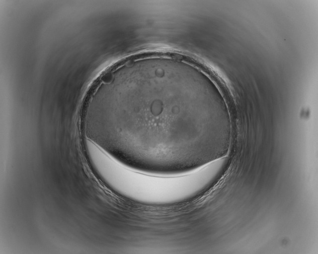 X0000098211318200805081126