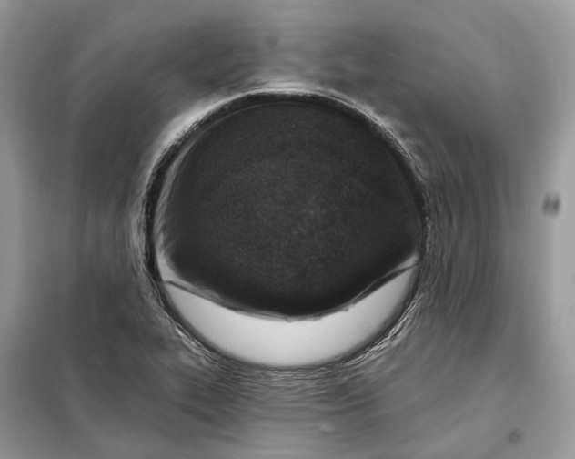 X0000098211319200805081126