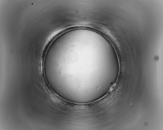 X0000098211320200805081126