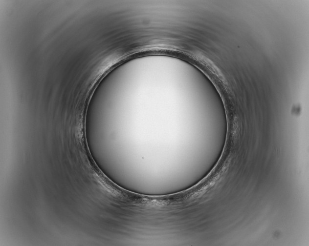 X0000098211321200805081126