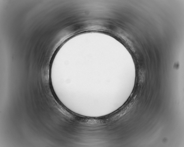 X0000098211322200805081126