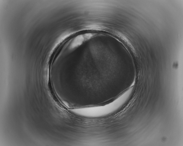 X0000098211323200805081126