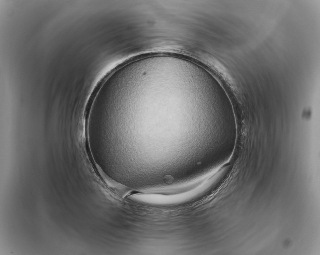 X0000098211324200805081126