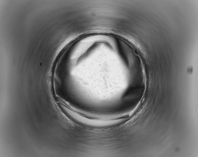 X0000098211325200805081126