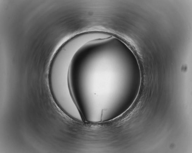 X0000098211326200805081126