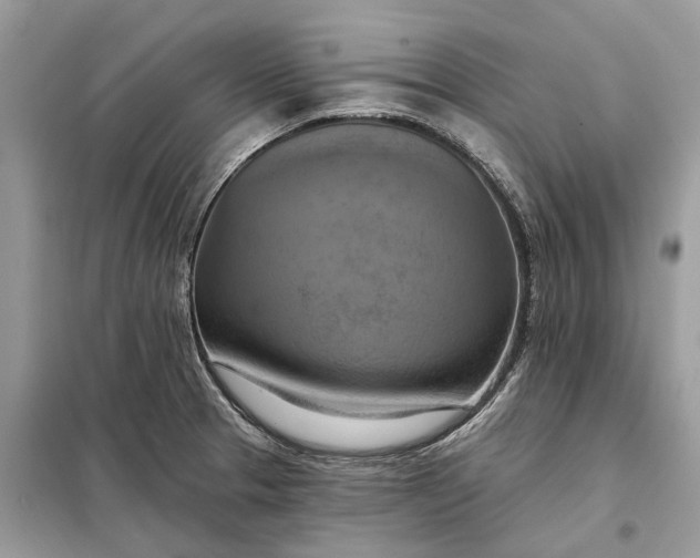 X0000098211329200805081126
