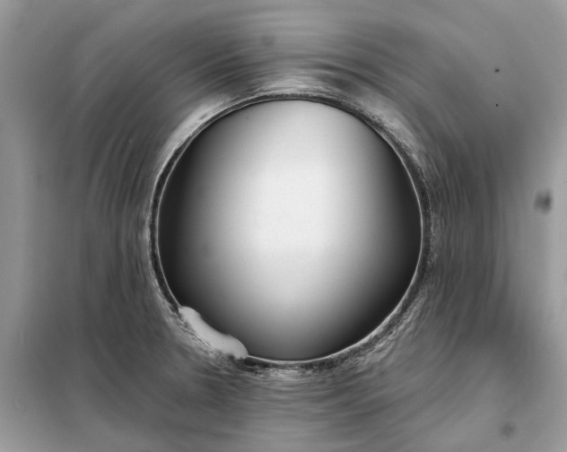 X0000098211330200805081126