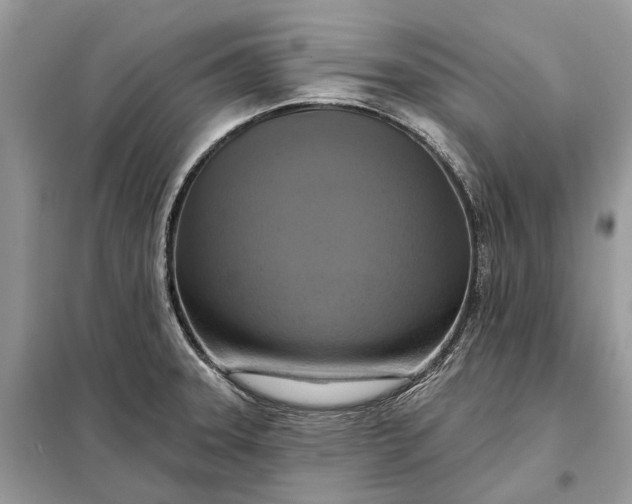 X0000098211331200805081126