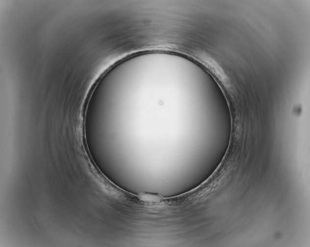 X0000098211332200805081126