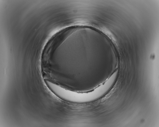 X0000098211334200805081126