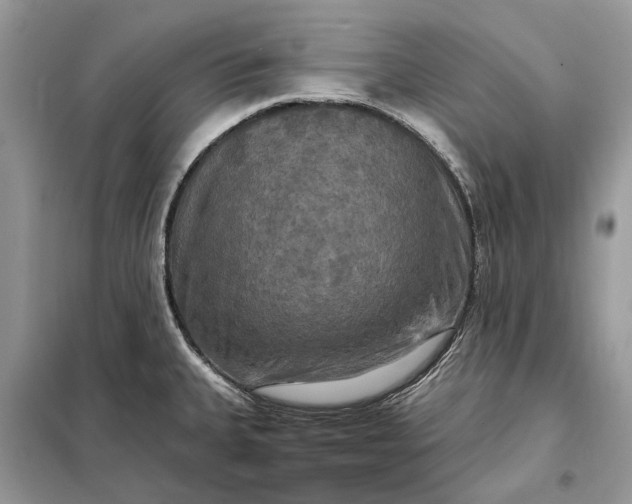 X0000098211335200805081126