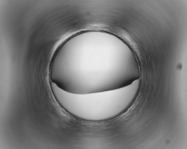 X0000098211336200805081126