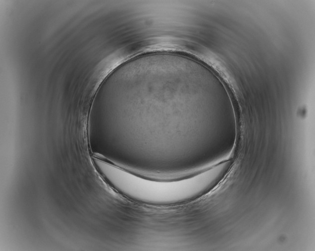 X0000098211337200805081126