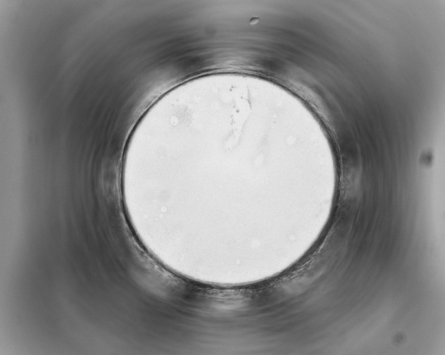 X0000098211338200805081126
