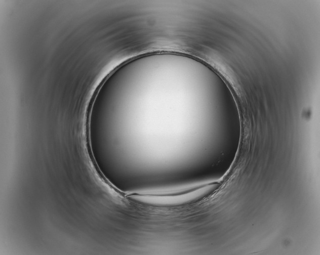 X0000098211339200805081126