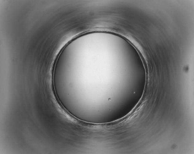 X0000098211341200805081126