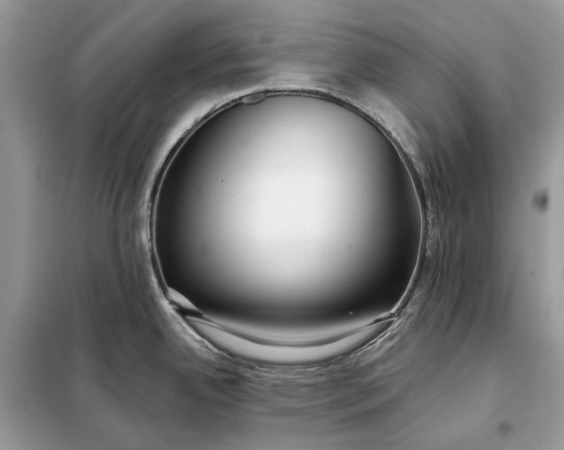 X0000098211342200805081126