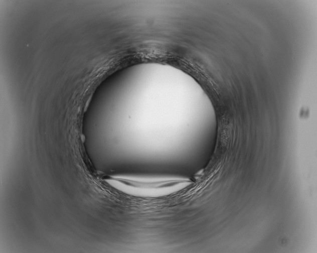 X0000098211345200805081125