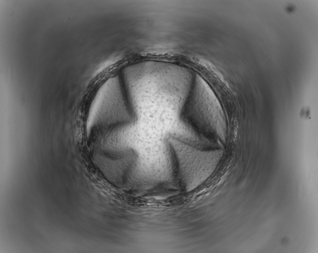 X0000098211350200805081125