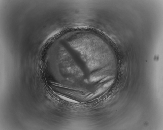 X0000098211351200805081125