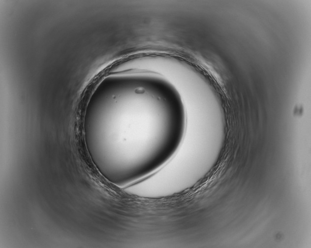 X0000098211352200805081125