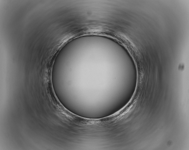 X0000098211353200805081125