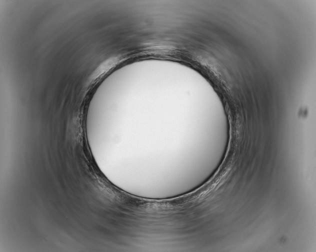 X0000098211354200805081125