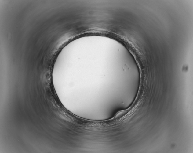 X0000098211355200805081125