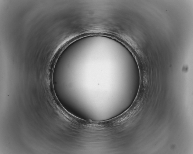 X0000098211356200805081125