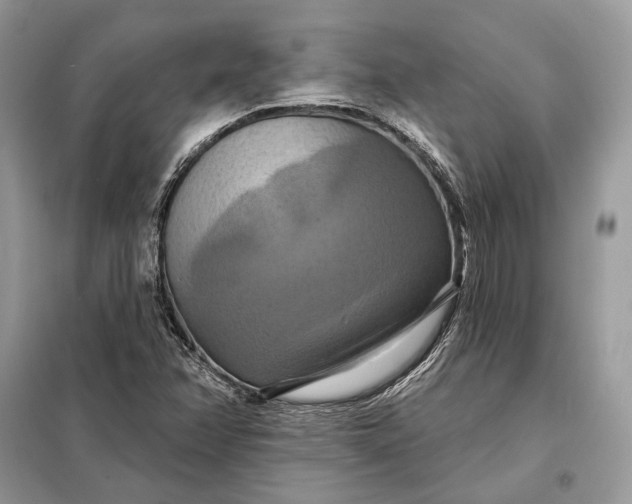 X0000098211358200805081125