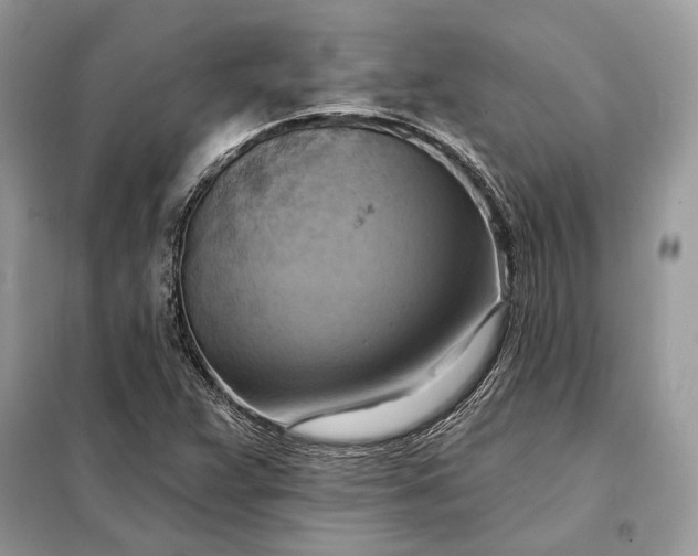 X0000098211359200805081125