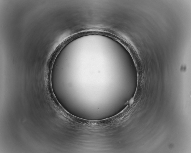 X0000098211360200805081125