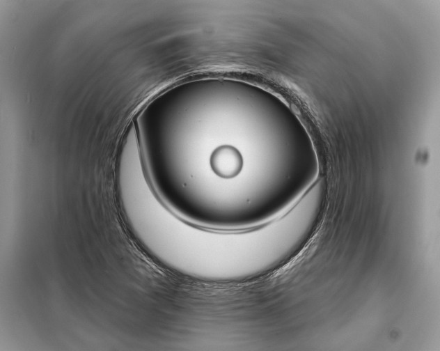 X0000098211361200805081125