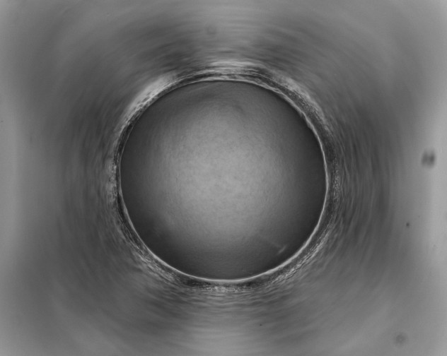 X0000098211362200805081125