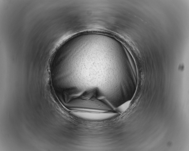 X0000098211363200805081125
