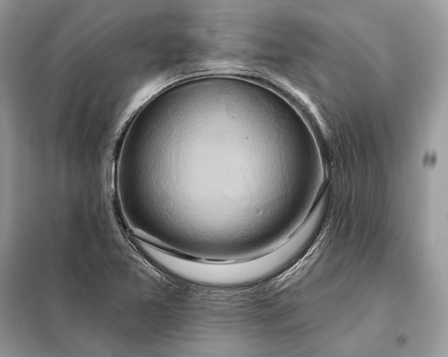 X0000098211365200805081125