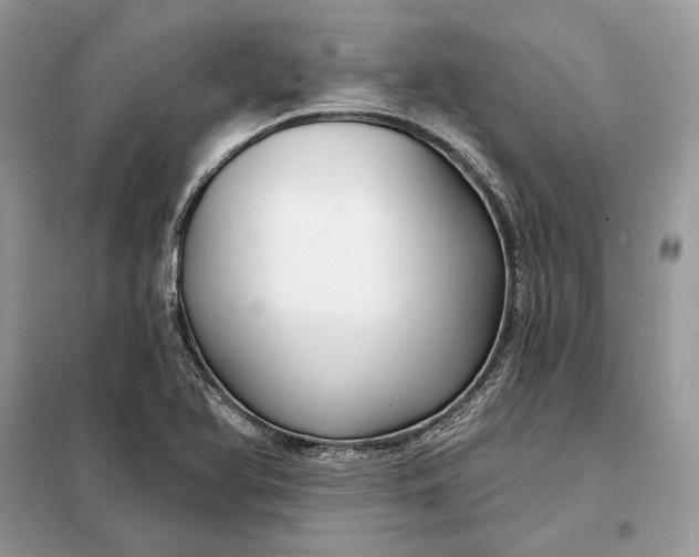 X0000098211366200805081125