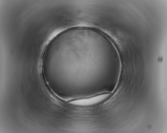 X0000098211367200805081125