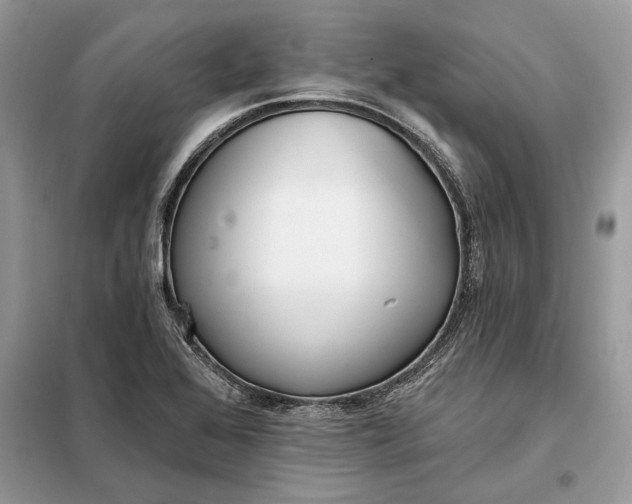 X0000098211368200805081125