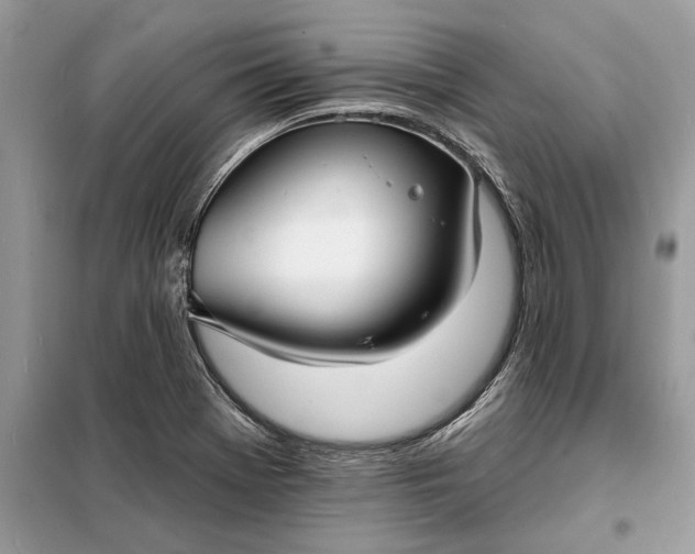 X0000098211369200805081125